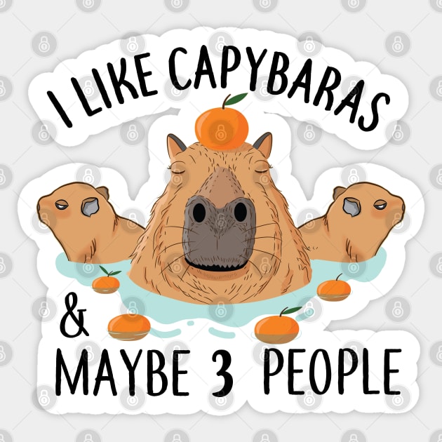 I like Capybaras and maybe 3 people Funny Baby Capybara Sticker by alltheprints